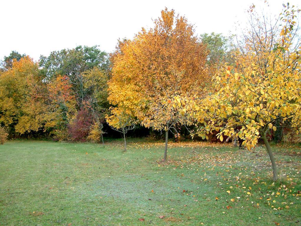 La Roseraie Neuville-du-Poitou Exteriér fotografie